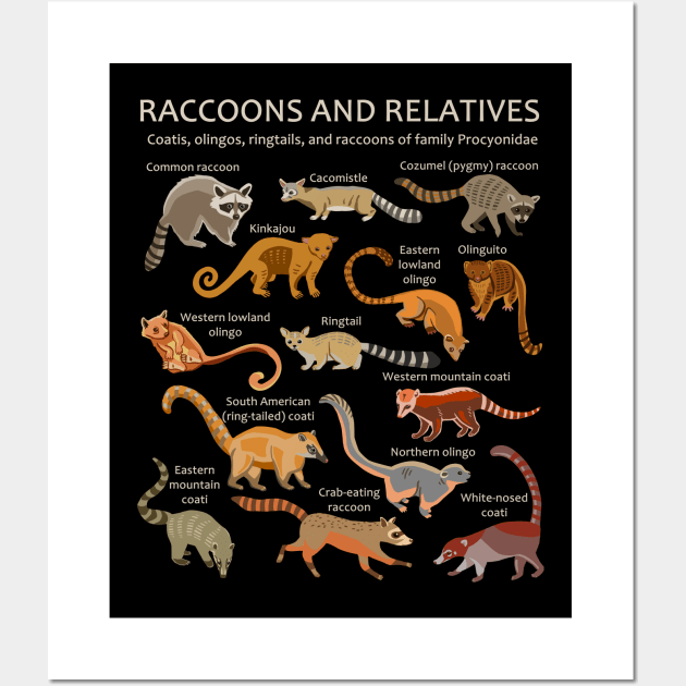 Raccoons and relatives: Coatis, olingos, ringtails, and raccoons of family Procyonidae Wall Art by ELMayer